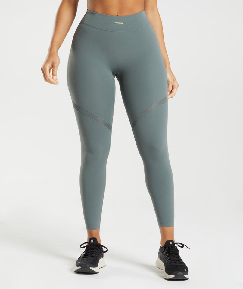 Women\'s Gymshark Whitney Mesh Leggings Grey | NZ 9QIBDM